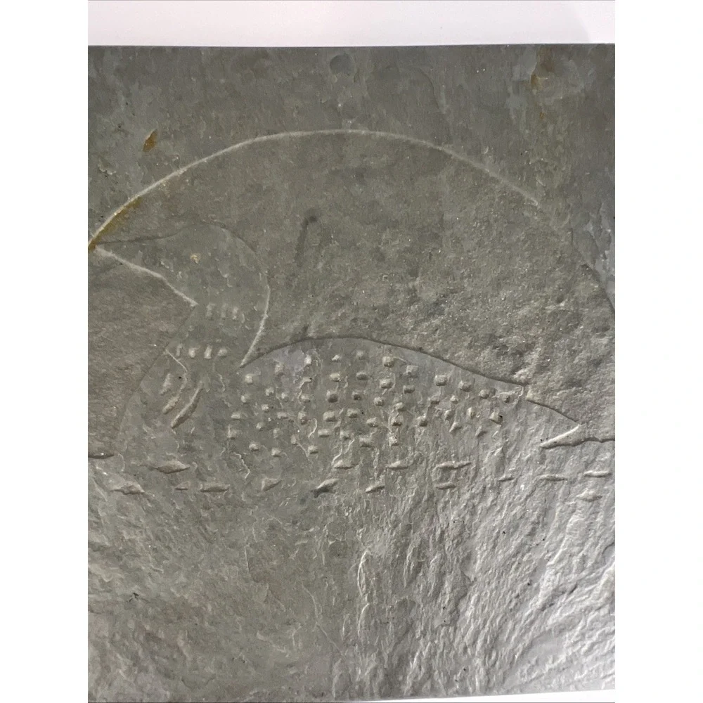 Slate Loon‎ Trivet 5.75